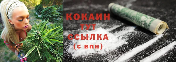 трава Инта