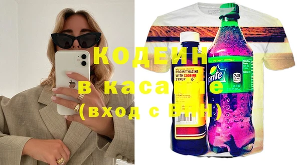 трава Инта