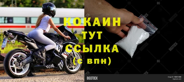 трава Инта