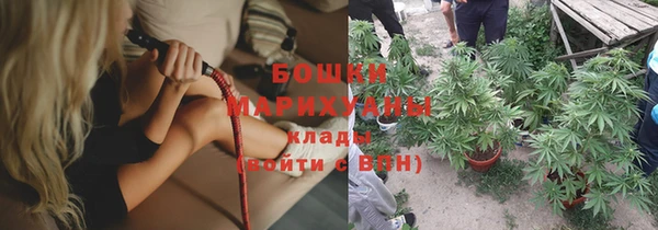 стаф Зеленокумск
