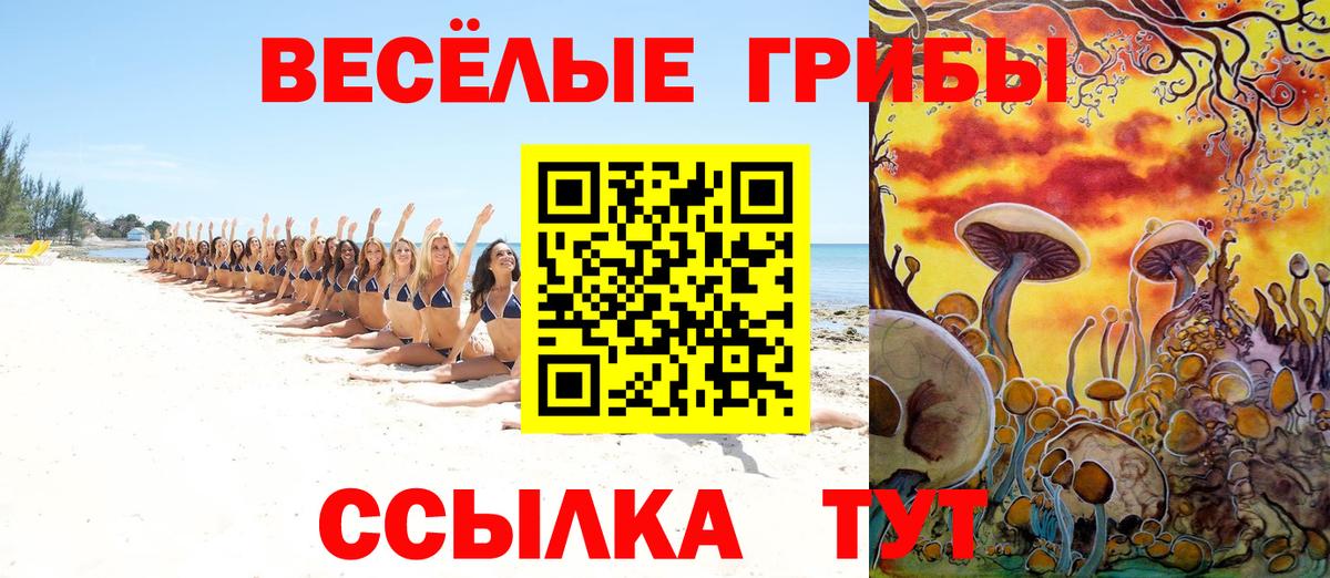 Псилоцибиновые грибы прущие грибы Саянск