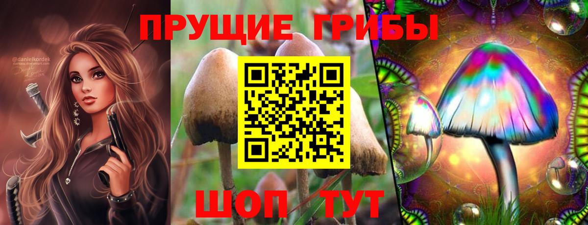Галлюциногенные грибы MAGIC MUSHROOMS  Псилоцибиновые грибы MAGIC MUSHROOMS  Вход с VPN  Саянск 