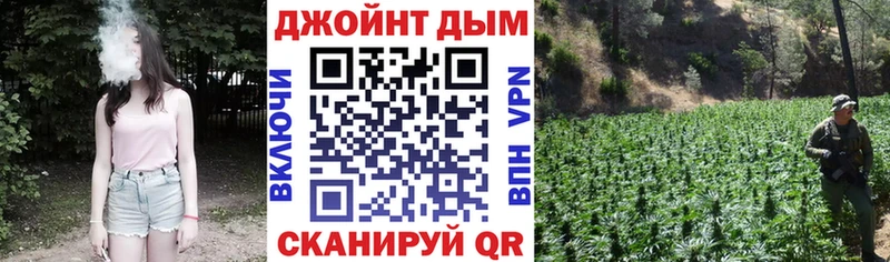 Бошки марихуана марихуана  продажа наркотиков  сайты даркнета наркотические препараты  Саянск 